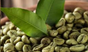 6 Benefits of Green Coffee for Pregnant Women and Important Precautions