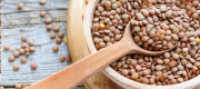 7 Powerful Health Benefits of Green Lentils