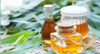 Surprising Health Benefits of Eucalyptus Honey