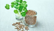 The 8 Health Benefits of Coriander Tea