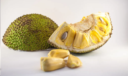 8 Health Benefits of Cempedak Seeds