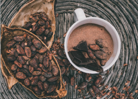 The 8 Health Benefits of Cocoa Beans for the Body