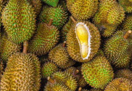 6 Benefits of Durian Seeds for Male Fertility