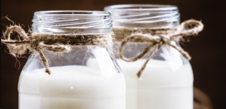 20 Health Benefits of Etawa Goat Milk