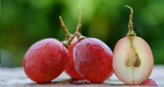 The 11 Health Benefits of Grape Seed Extract